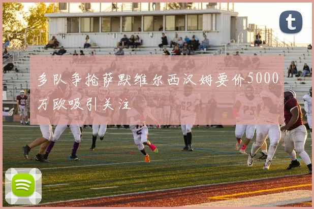 多队争抢萨默维尔西汉姆要价5000万欧吸引关注