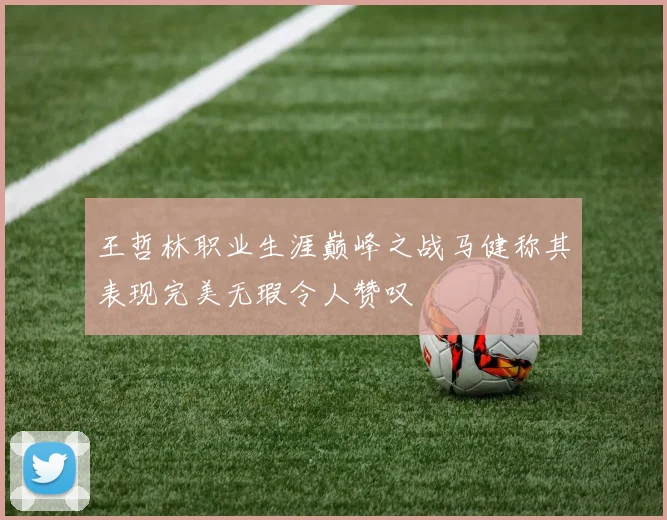 王哲林职业生涯巅峰之战马健称其表现完美无瑕令人赞叹